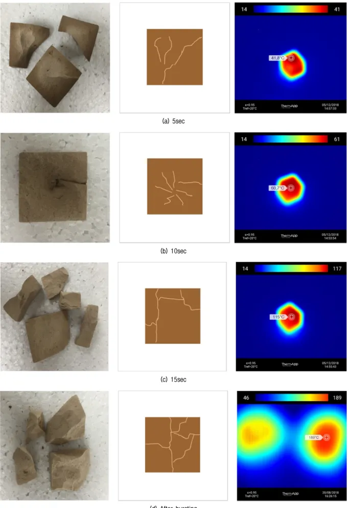 Fig. 11. Specimens after microwave oven operation and temperature