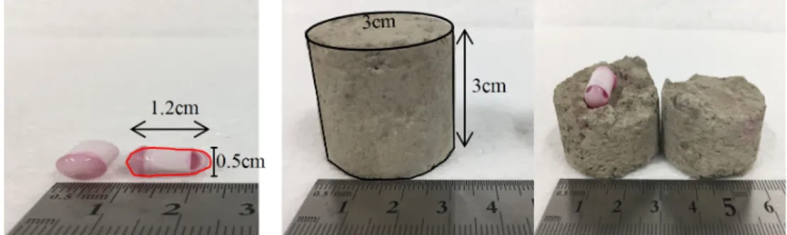 Fig. 8. Capsule and remolded specimen