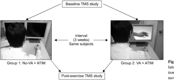 Fig.  1.  Transcranial  magnetic  stimu- stimu-lation  protocols.  VA:  visual   atten-tion,  ATIM:  active  thumb  to  index  movement.이는 시각적 집중을 동반한 복합 운동과 시각적 집중을 동반하지 않은 단순한 손가락의 운동시 각각이 대뇌피질활성화에 미치는 영향을 비교하여 뇌병변 환자에 대한 재활치료법 개발의 기초를 마련하고자 한다.연구대상  및  