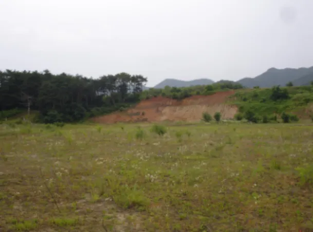 Fig. 1. Panoramic view of the soil sampling site