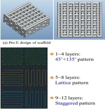 Fig.  1  Images  of  (a)  Pro-E  design  and  (b)  layer  pattern  for scaffold fabrication 