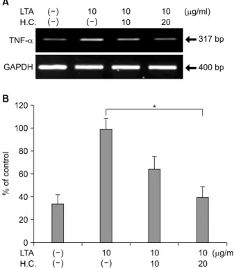 Fig.  3.  Dose-dependent  expression  of  TNF-α and  COX-2  by  LTA in  DFs.  (A)  DFs  were  treated  with  LTA  at  concentrations  of  5,  10, and  20μg/ml,  and  RT-PCR  for  TNF-α mRNA  expression  was  performed  with  samples  that  were  harvested 