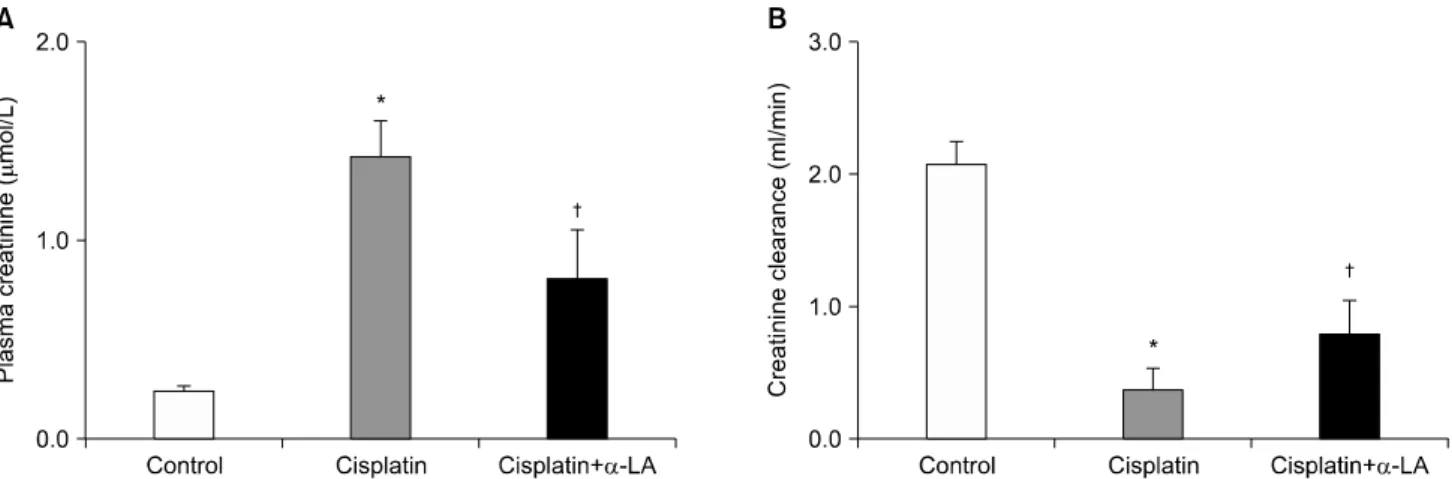 Fig.  1.  Effects  of  alpha  lipoic  acid  (α-LA)  on  serum  creatinine  level  and  creatinine  clearance