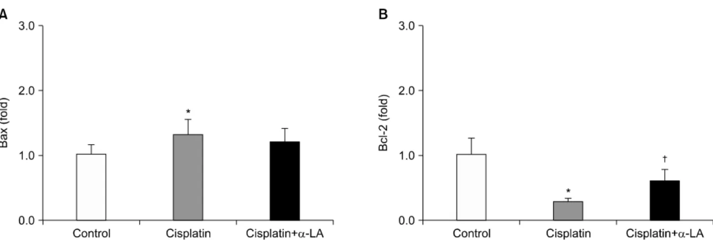 Fig.  4.  Effects  of  alpha  lipoic  acid  (α-LA)  on  the  protein  expression  of  Bax,  Bcl-2  and  cleaved  caspase  3  in  the  kidney