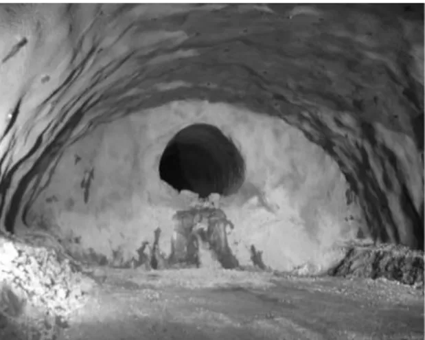 Fig. 8. Unrolled discontinuity trace map of the TBM pilot tunnel.