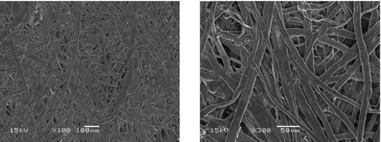 Fig. 9.  SEM images of CNF coated paper with pass number 5 at 6 coating layers (left: only anionic  CNF right: cationic and anionic CNFs).