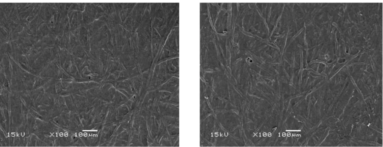 Fig 11.  SEM images of CNF coated paper with pass number 9 at 6 coating layers (left: only anionic  CNF, right: cationic and anionic CNFs).
