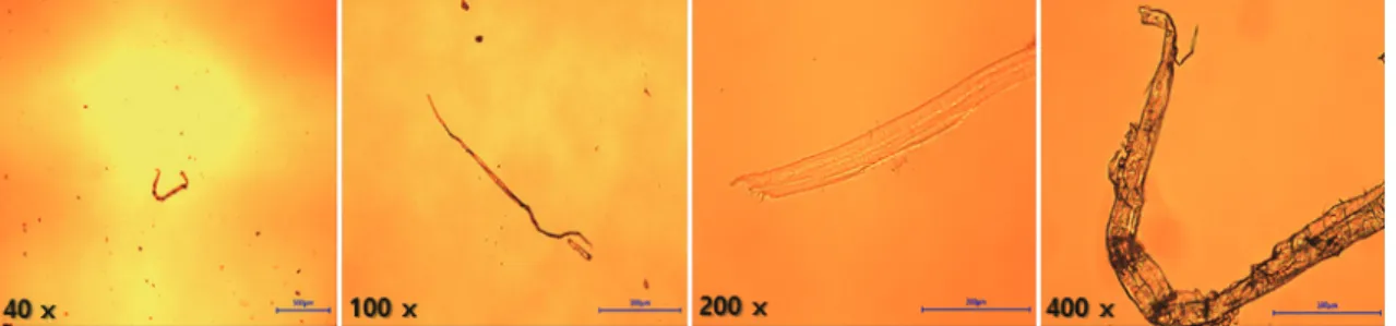 Fig. 7.  Average particle size of ash made from  Sludge G and K by temperature.