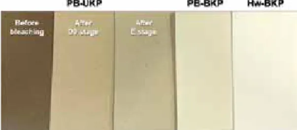 Table 3.   Bleaching condition for the manufac- manufac-ture of PB-BKP