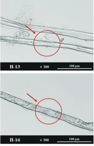 Fig. 3. IR spectra at 4000-400 cm -1  (right), and OI and HBI (left) of 6 historical documents.