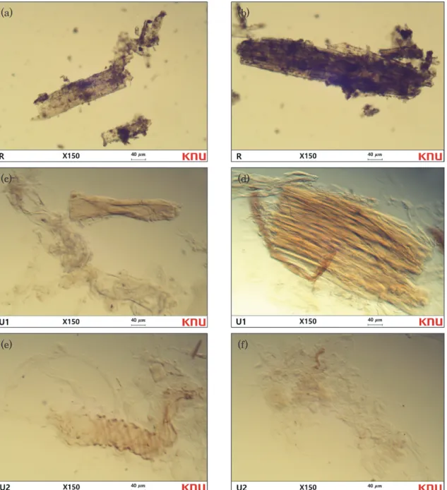 Fig. 2.   Microscopic images of insoluble residues (a,b: raw material, c,d: undissolved fraction in 1st  dissolution and e,f: undissolved fraction in 2nd dissolution).