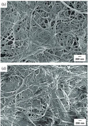 Table 2.   Average fibril widths of untreated and enzyme-treated CNFs calculated from SEM images  (24 times passes)