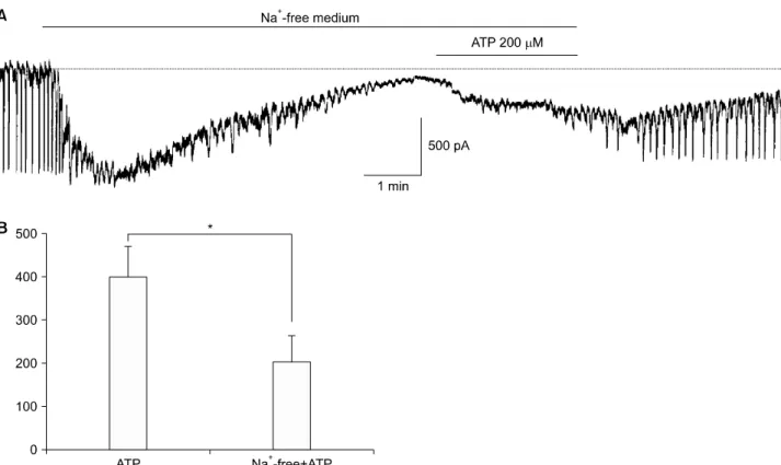 Fig. 4B). NSCC inhibitors, flufenamic acid (10 μM) and ni- ni-flumic acid (10 μM), abolished the generation of pacemaker 