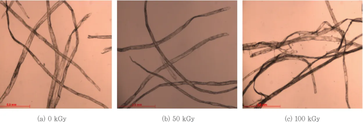 Fig. 3. Microscopic images of UKP fibers disintegrated by a laboratory disintegrator as a function of the  irradiation dose of electron beam (×40)