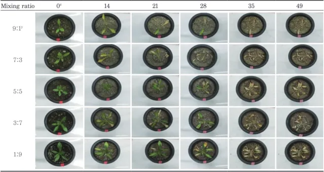 Table 1. Changes of green coverage based on five different mixing ratio by days of unirrigation