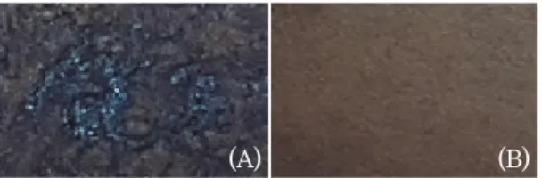 Fig. 4.  The  surface  image  of  coating  layer  depending on the coating additives ( (A)  handsheet  surface  coated  by  the 