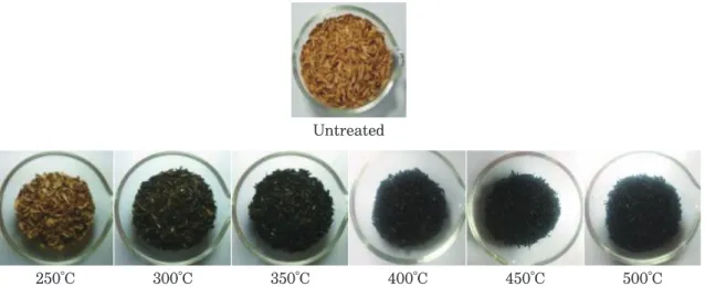 Fig. 5.  Appearance of the rice husk samples prepared with the muffle furnace at air gas condition.