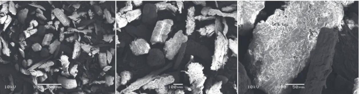 Table 3. Particle diameter of wood powder samples