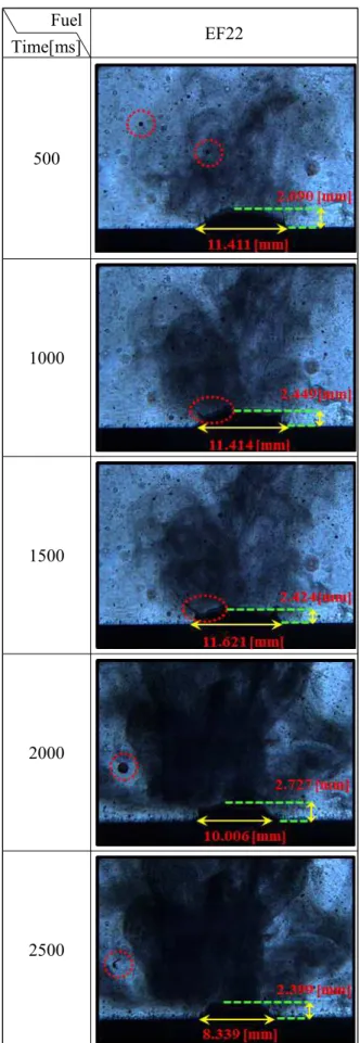 Fig.  4  Evaporative  images  of  case  of  EF22 