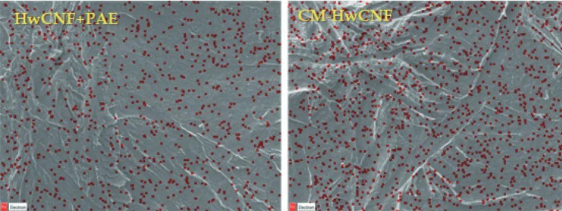 Fig. 8.  EDS imags of CNF filters made from HwCNF after filtration experiments.