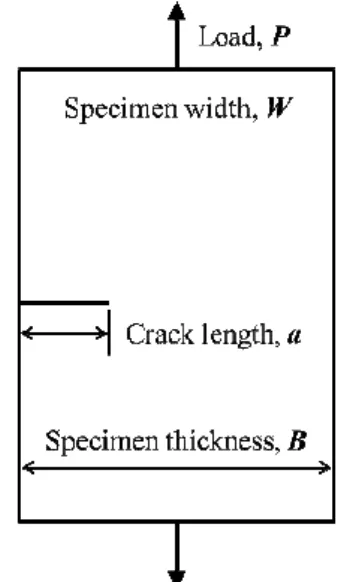 Fig.  2  Schematic  figure  of  single  edge  notched  plate  under tension loading (8)    