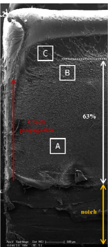 Fig.  7  SEM  micrographs  of  fracture  surface  on  PENT  specimen  한다.  이  과정에서  단면적이  받는  응력이  증가하 게  되고,  하중의  크기에  대응하는  특정  크기의  면 적이  남았을  때  순간적으로  연성  파단이  발생한다