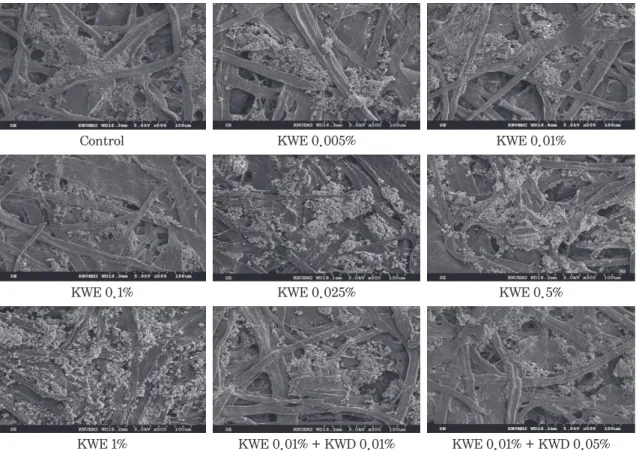 Fig. 14. Effect of pretreatment of PCC with PAM on sheet structure.