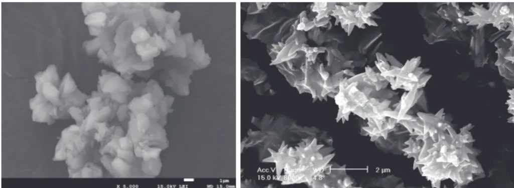 Fig. 1.  Scanning electron micrographs of calcium carbonate.