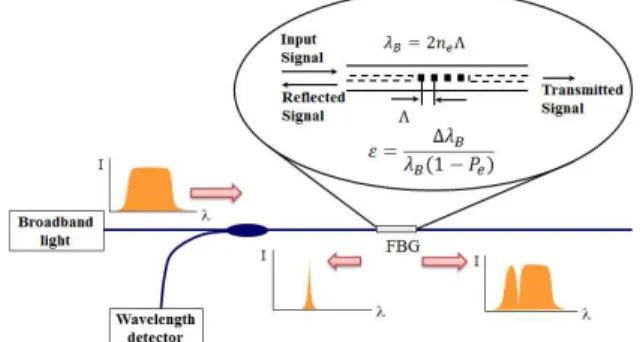 Fig.  1  Principle  of  FBG  and  characteristic  of  reflected  signal 파장을 서로 다르게 하여 변형을 받을 때도 브래그  반사  파장이  중첩되지  않도록  구성하면  하나의 광섬유에 여러 개의 브래그 격자 센서를 배열하여 다점의 변형을 측정을 할 수 있게 된다.변형률 기반 구조물 형상 추정 이론3