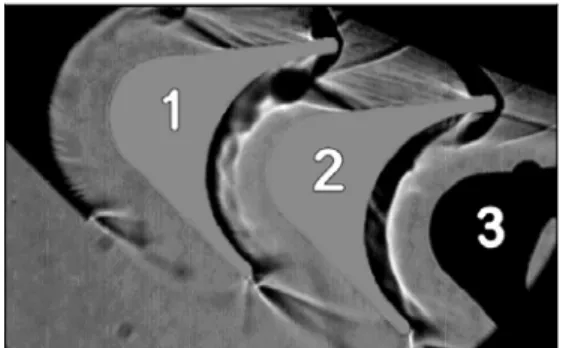 Fig. 14 Turbine cascade flow separation at  ϕ = 18.78 o ,  P T0  = 1000psi (Shadowgraph image) 