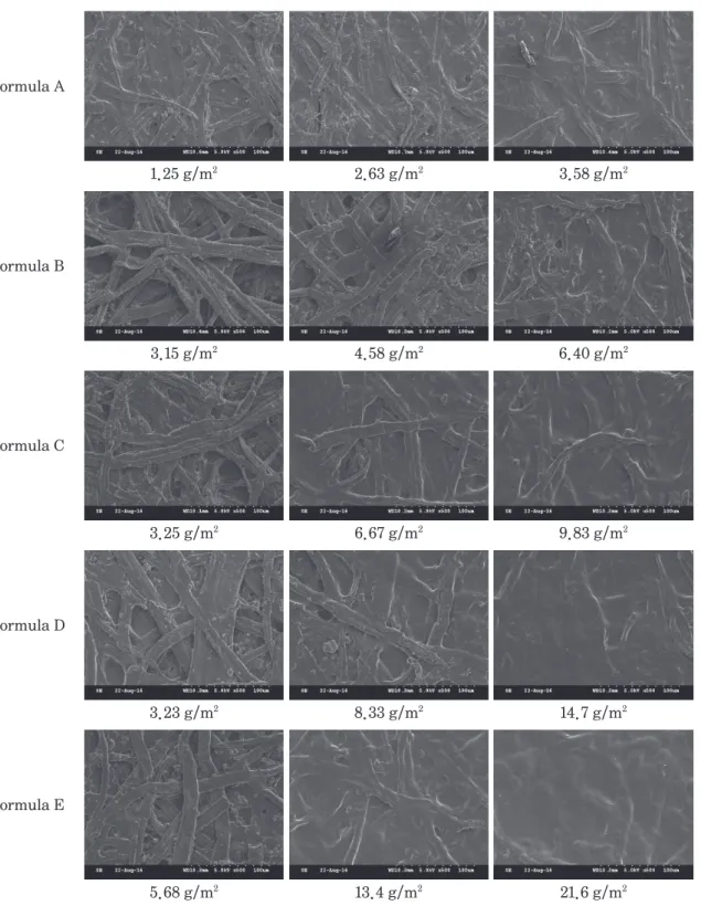 Fig. 1.  SEM images the paper surface treated with CNF and CNF-oxidized starch mixtures (The  number on the SEM images indicated the coated weight).