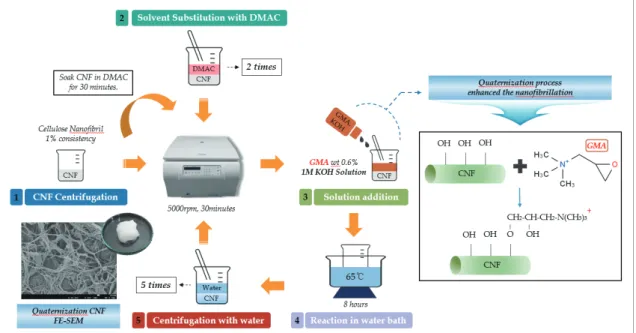 Fig. 1.  Flow diagram of CNF quaternization.