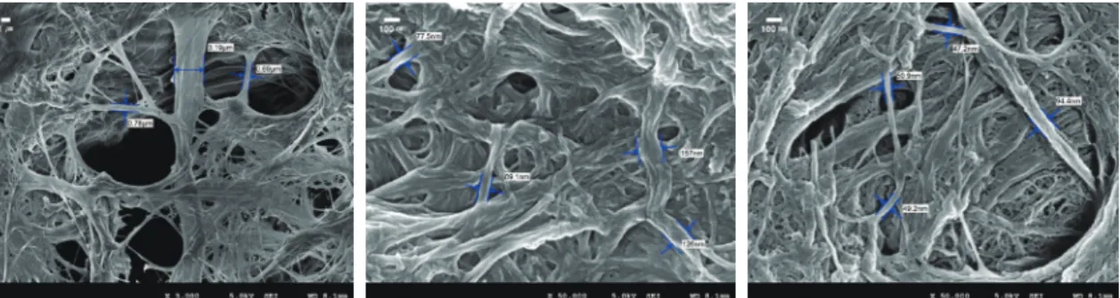 Fig. 5.  Effect of the pass number of grinding on the fiber width of cotton CNFs at 132 mL CSF (left: 