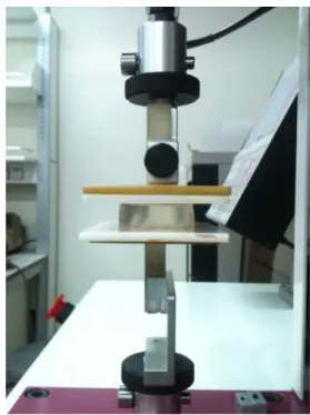 Fig.  2  Expeimental  setup  for  the  unconfined  compression  of  a  cylindrical  specimen  made  of  gelatin