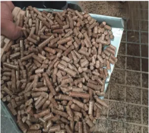 Fig. 2. Waste wood.