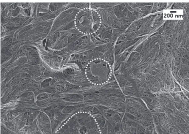 Fig. 7.  Interaction of silane with cellulose under heat. 7)