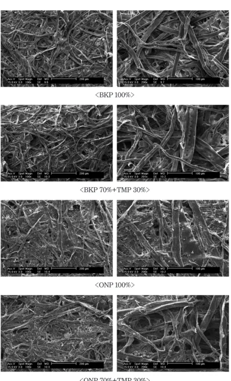 Fig. 3. SEM image of the pulp mold samples depending on the raw material composition.