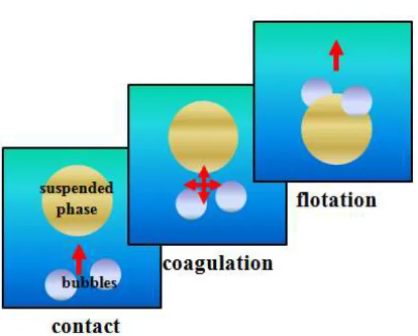 Fig. 1 Schematic concept of flotation 