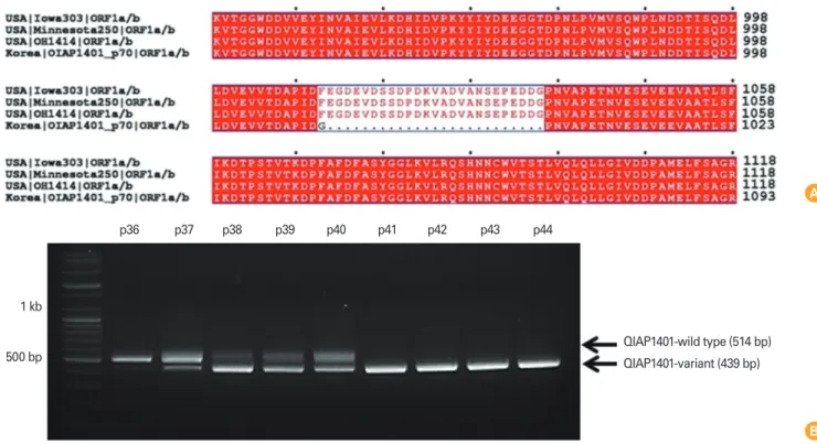 Fig. 1. (A) Genetic characterization of QIAP1401-p70. A cell-culture-adapted QIAP1401 variant was generated by passaging 70 times using the  sequential limit dilution culture method
