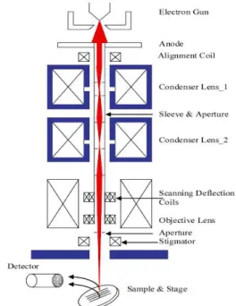 Fig. 2 Schematic structure of the thermionic SEM (2) 