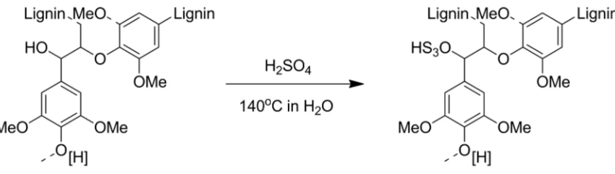 Fig. 1. Reaction pathway of lignosulfonates.