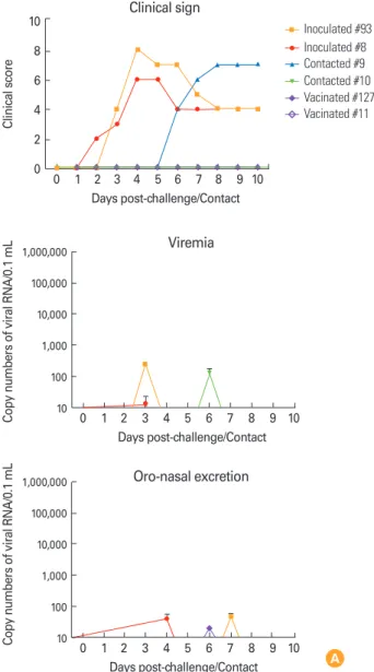 Fig. 3. Pathogenesis and transmission after virus challenge and con- con-tact or vaccination in pigs