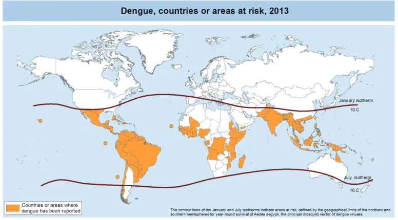 Fig. 1. Countries with reported dengue; areas at risk, 2013. Adopted from Health Statistics and Information System, World Health Organization, 2014 [5]