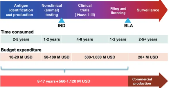 Fig. 2. Current pathway of vaccine development. BLA, Biologic License Application; IND, investigational new drug; M USD, million United  States dollars.