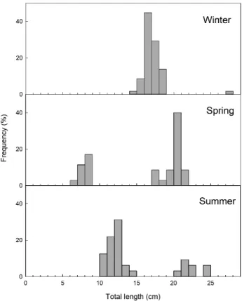 Fig. 3. Size frequency distribution of jack mackerel Trachurus ja- ja-ponicus collected in Southern sea of Republic of Korea from  win-ter to summer 2020.