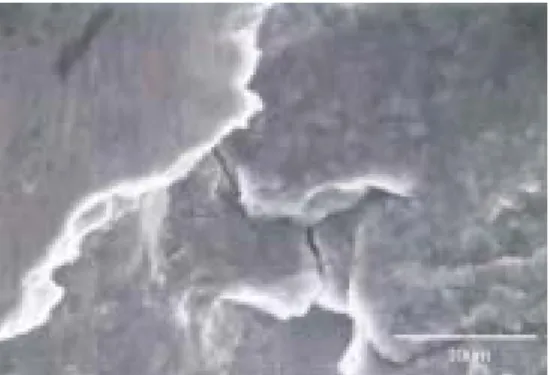 Fig. 4 Comparison of wear quantity (Vertical load : 30N) 마찰계수4.1.3 수직하중에 따른 마찰계수의 변화는 큰 차이 를 보이고 있지 않으나 같은 수직 하중하에서 슬 라이당 거리가 증가함에 따라 다소 차이를 보이 고 있다 