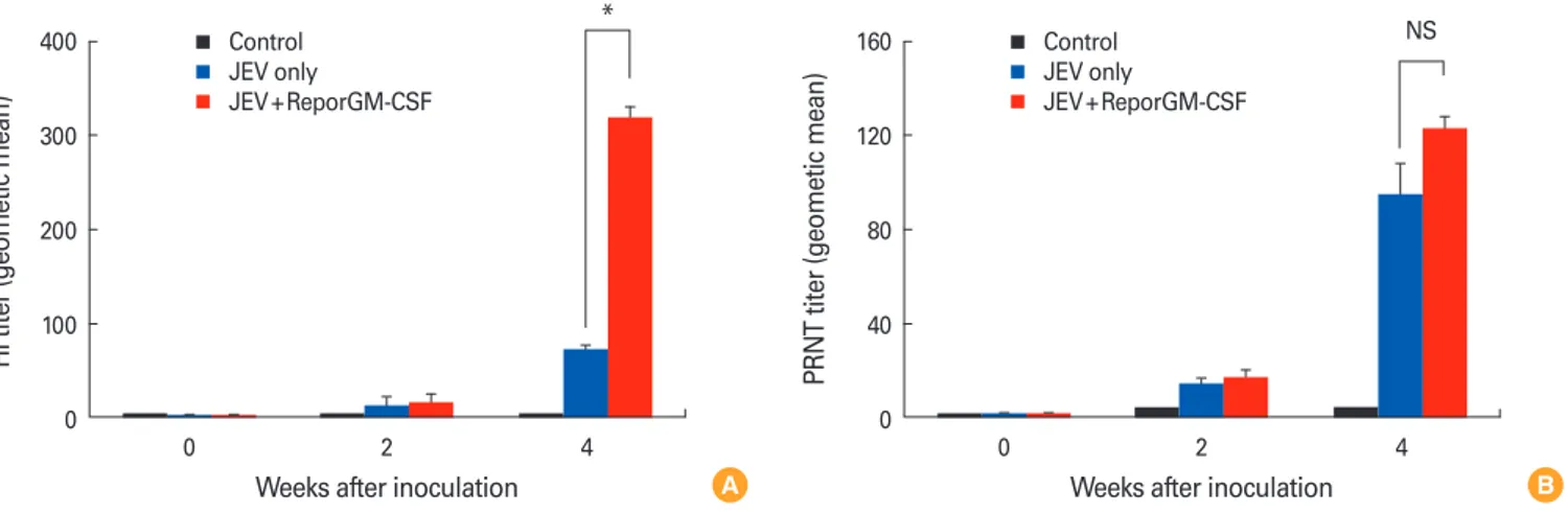 Fig. 4. Antibody responses following vaccination with inactivated Japanese encephalitis virus (JEV) G1 vaccine containing recombinant por- por-cine granulocyte monocyte-colony stimulating factor (reporGM-CSF) protein or not