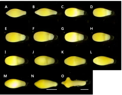 Table 2. Eggs and embryonic development of hybrid between Rhodeus uyekii (♀) and R. ocellatus (♂) and at water temperature 21.0±1.0°C