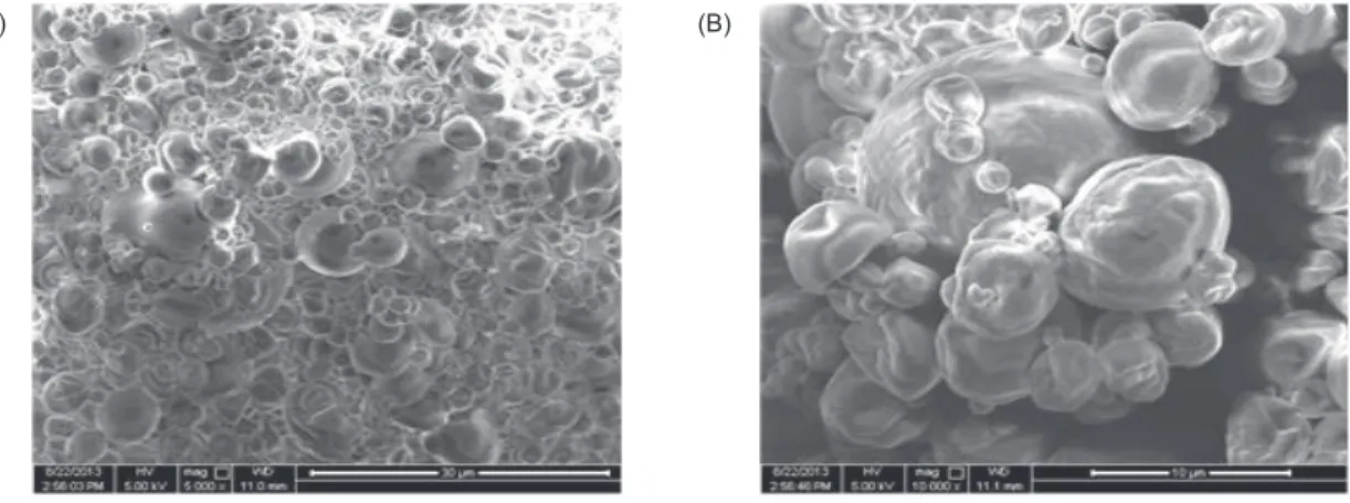 Fig. 1. Scanning electron micrograph (SEM) of ITCs-loaded gum arabi-chitosan microcapsules