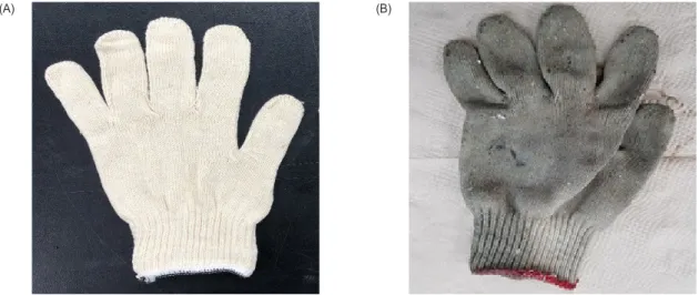 Fig. 1. Before (A) and after (B) using gloves used to oyster Crassostrea gigas shell shucking process